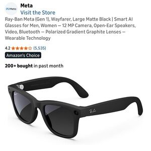 Ray-Ban Matte Black Sunglasses